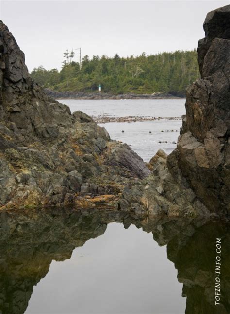 Hot Springs Tofino Pictures Photos - Tofino Info Vacation Guide