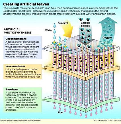 Groundbreaking examples of learning from nature to advance technology -- Science & Technology ...