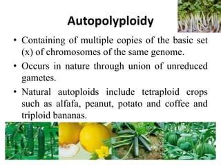 Polyploidy | PPT | Free Download