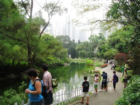 Life in Rural Japan: Hong Kong Highlights