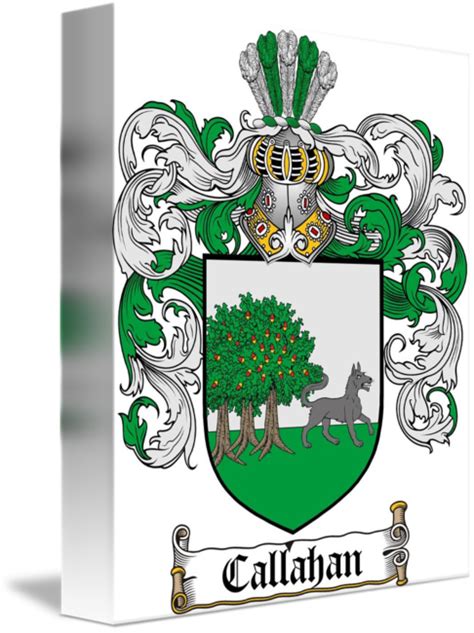 CALLAHAN FAMILY CREST - CALLAHAN COAT OF ARMS by Family Crest