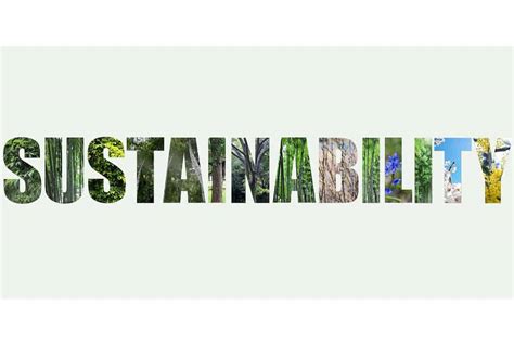 29 Sustainable Building Materials You Can Use Today - Building Renewable