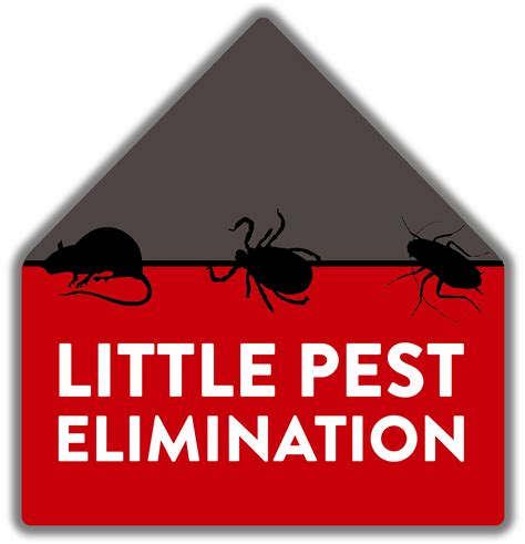 Little Pest Elimination Offers Pest Control Services in Lakewood, WA 98499