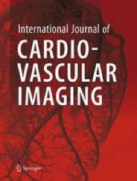 The effect of contrast agents on left ventricular parameters calculated ...