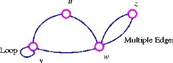 Loop and Multiple Edges - Graph Theory