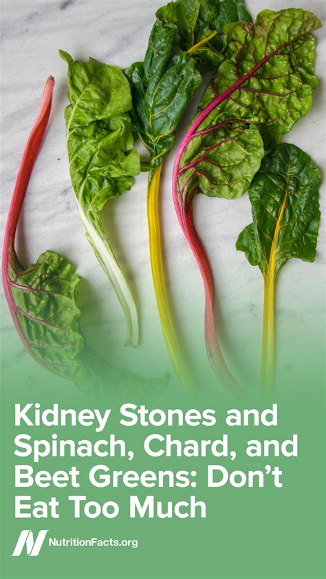 Can Spinach Cause Kidney Stones - HealthyKidneyClub.com