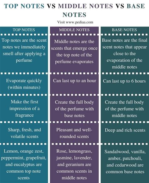 What is the Difference Between Top Notes Middle Notes and Base Notes - Pediaa.Com