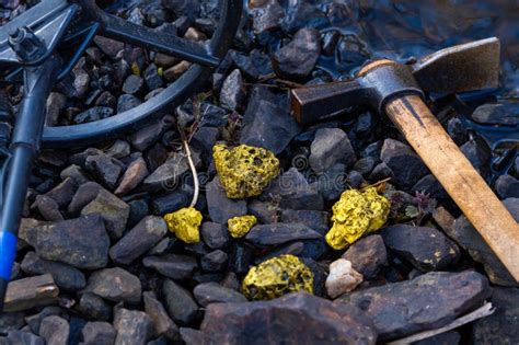 Gold Nugget Mining from the River in Austria, Real Gold. Stock Photo ...