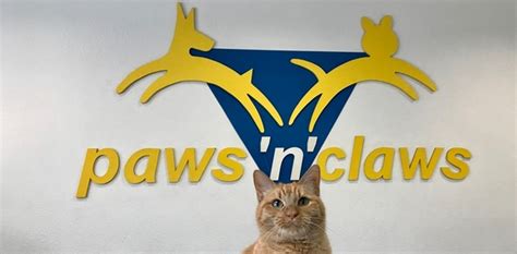 Home - Paws 'n' Claws Veterinary Hospital, Inc.