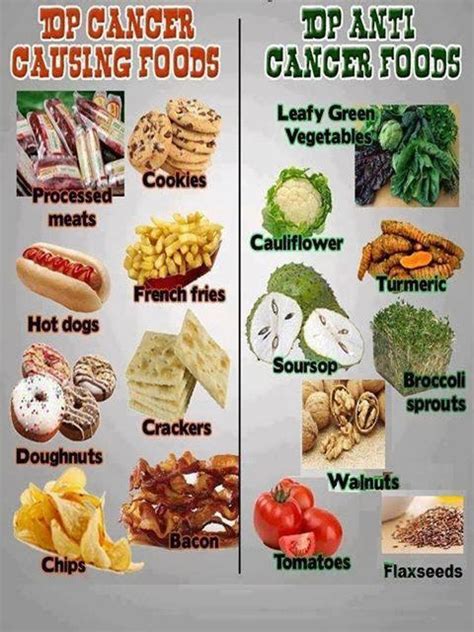 CHODAVARAMNET: TOP CANCER CAUSING FOODS AND TOP ANTI CANCER FOODS CHART