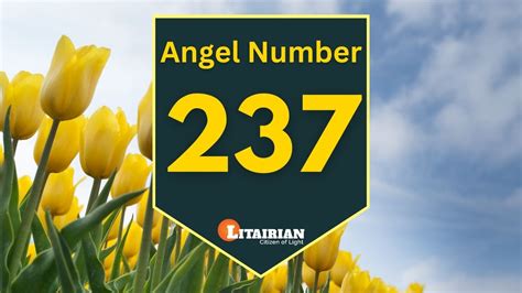 Angel Number 237 Meaning And Significance