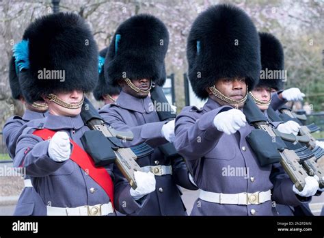 London, Buckingham Palace, Changing of the Guard. Irish Guards ...