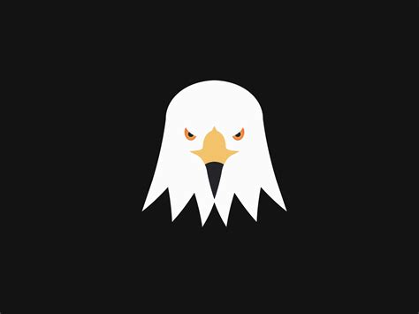 HAWK - Logo Animation by Ferhat Kulahi on Dribbble