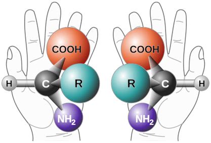 Chiral Center Definition in Chemistry