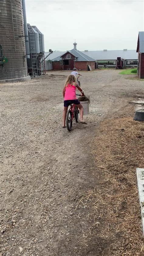 Oak Hill Farms - They have chores to do but want to ride...