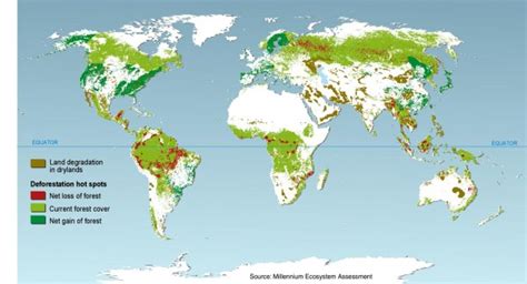 Papua New Guinea deforestation at critical level - The Watchers