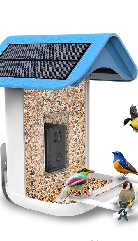 2023 Solar Charging Smart Bird Feeder With Camera Ai Recognition Bird ...