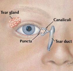 Eye Physicians & Surgeons - Blocked Tear Ducts in Children