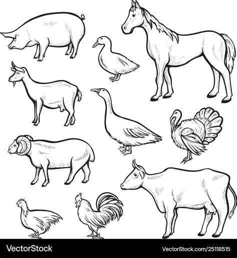 Farm Animals Drawing Pics : Farm Sheep - how to Draw a Sheep - farm Animals Easy ... | The ...