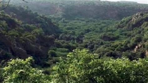 Villagers oppose opening up of Hasdeo Arand forest for coal mining in Chhattisgarh | Latest News ...