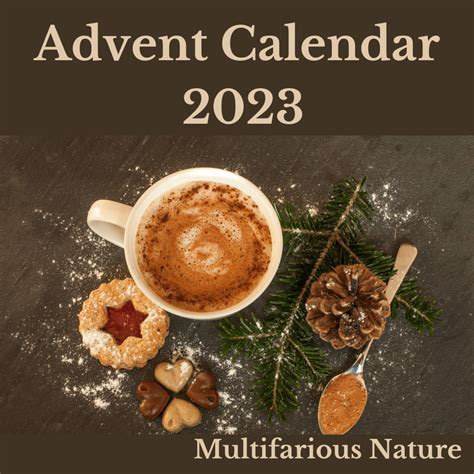 Christmas Advent Calendar 2023 | Multifarious Nature