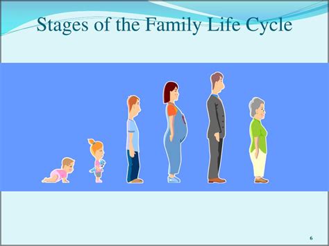 PPT - The Family Life Cycle PowerPoint Presentation, free download - ID ...