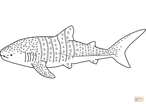 Whale Shark Coloring Pages