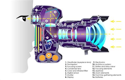 The DSLR Will Likely Die: Are Mirrorless the Future of Big Standalone ...