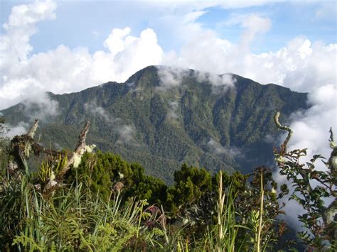 Mt. Tuminungan - Mountains PH