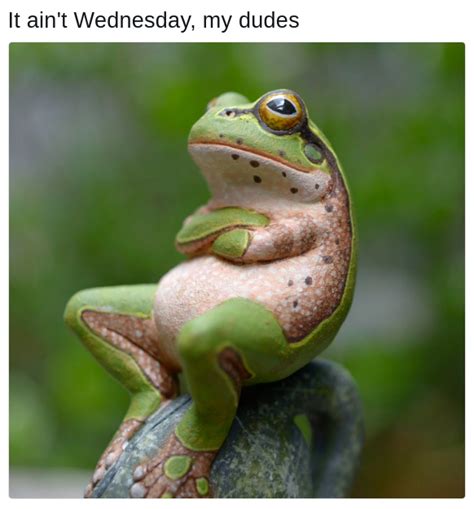 Not everyday can be Wednesday | It Is Wednesday My Dudes | Know Your Meme