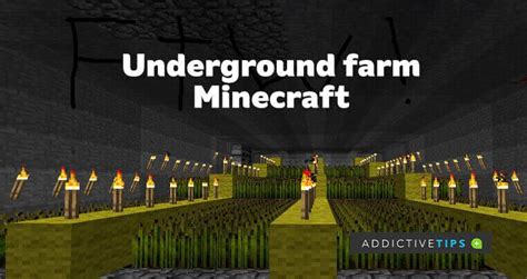 Underground Farm in Minecraft: All you need to know