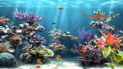 Aquarium Background Pictures - WallpaperSafari