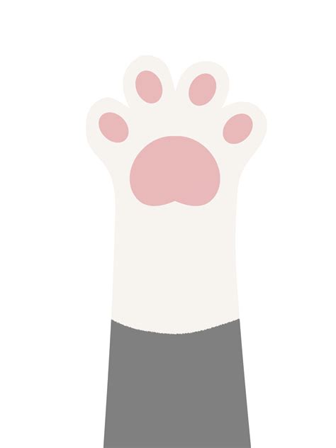 Cats Paw High Five Free Stock Photo - Public Domain Pictures