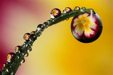 Amazing Water Drop Reflection Photography - PickChur