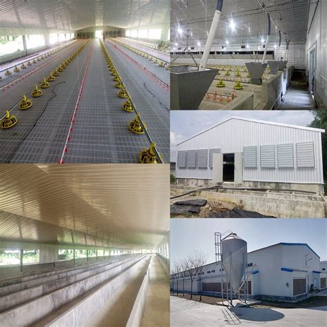 Broiler Chicken Farming Equipment - Automatic Poultry Equipment with ...