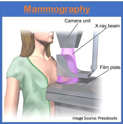 Mammography (Mammogram) - We Care