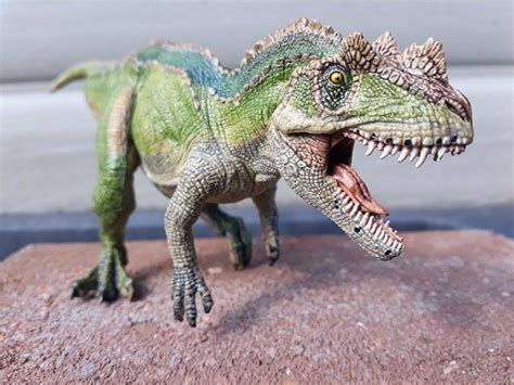 Ceratosaurus (Papo) – Dinosaur Toy Blog