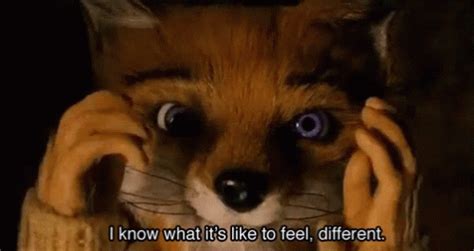 Fantasticmrfox Different GIF - Fantasticmrfox Different Cute - Discover ...