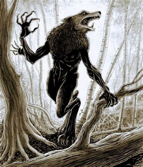 Skinwalker encounter on the Navajo Reservation - Nexus Newsfeed