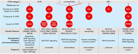 Diffuse large B-cell lymphoma (DLBCL) | MLL