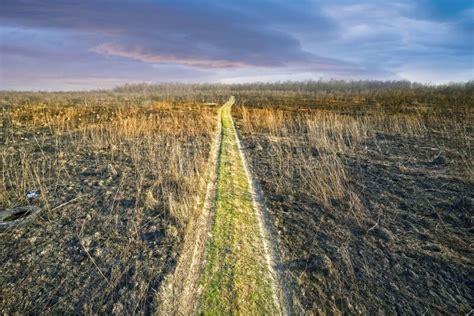 Burning forests and fields stock photo. Image of disaster - 178451850