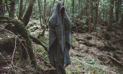 This Is The Dark Side Of Aokigahara Forest AKA The Suicide Hotspot Of ...