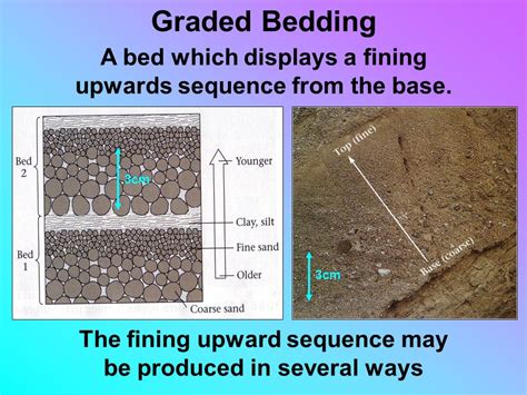 Graded Bedding Diagram