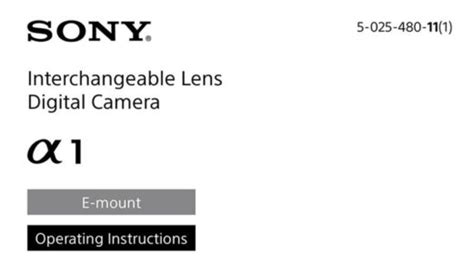 Download Sony a1 User Manual & Help Guide - Daily Camera News