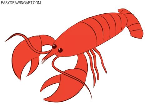 How to Draw a Crayfish - Easy Drawing Art