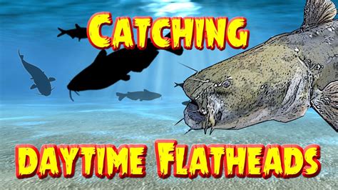 Catching Flathead catfish in the daytime #FlyFishingTips101 | Catfish ...