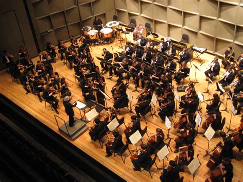 University Orchestra Auditions: August 26 and 27 - SBU News