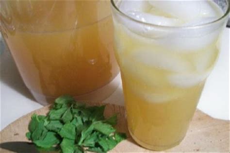 Lemon Mint Tea Recipe - Food.com