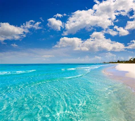 17 Best Beaches in Florida You Must See - Florida Trippers