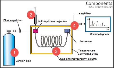 Gas Chromatography And Its Applications Crambridge | Free Download Nude Photo Gallery